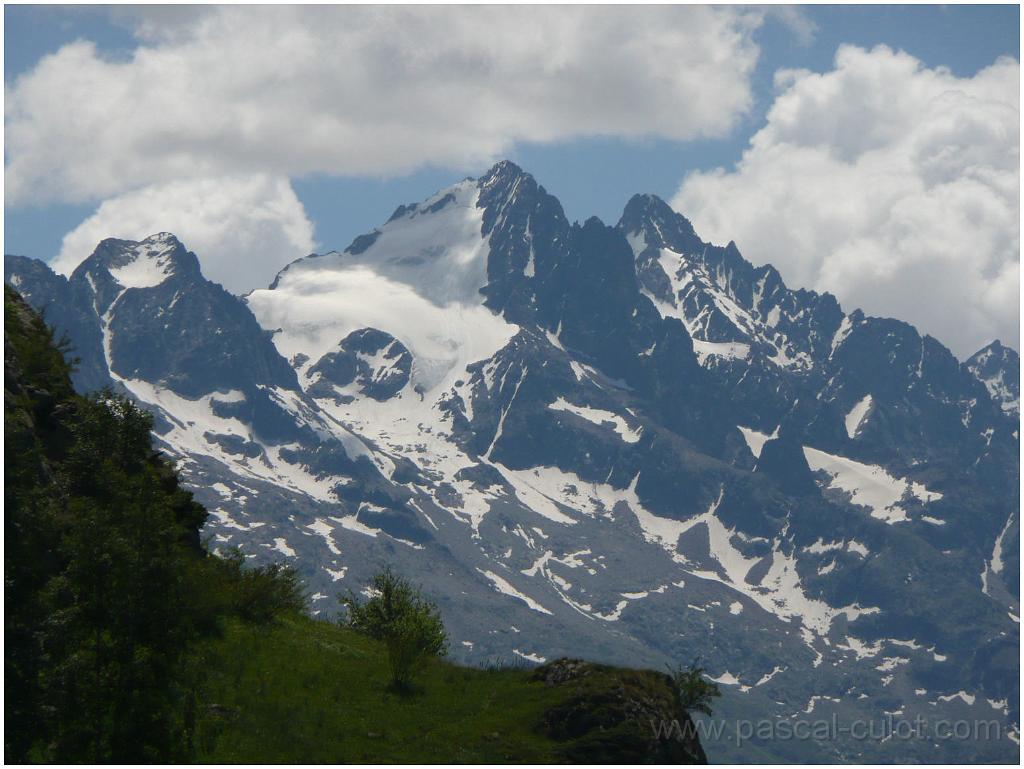 P1050262.jpg