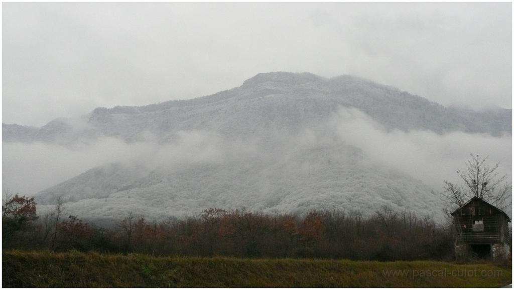 P1070488.jpg - Dimanche apr�s midi: il a neig� bas et c'est tout bouch�, mais l'envie de sortir prendre l'air frais est l�.