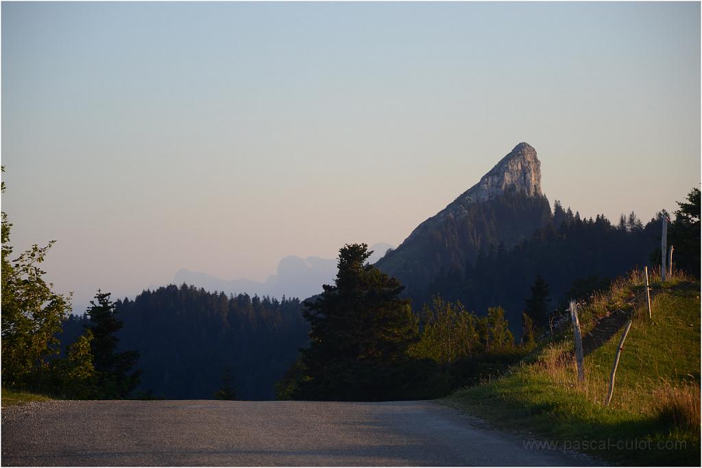 DSC_0505.jpg