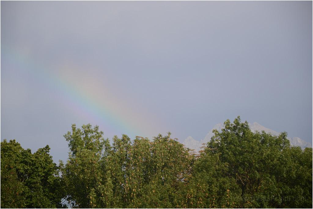 DSC_0571.jpg