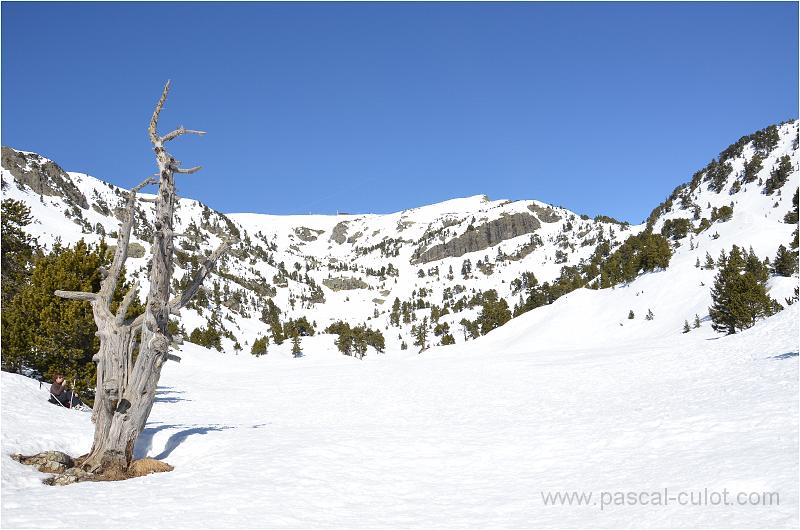 DSC_0441.jpg - Le Lac est compl�tement sous la neige.
