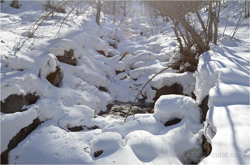 DSC_0385.jpg - Le bas du torrent de Nareyroux.