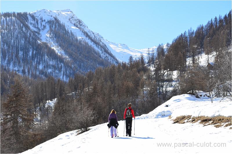DSC_0402.jpg - Le vallon de Narreyroux vue de dessous et les contrefort de la Pendine � droite. Le col du Bal est au fond, c'est celui du hors piste fait avec Alexis.
