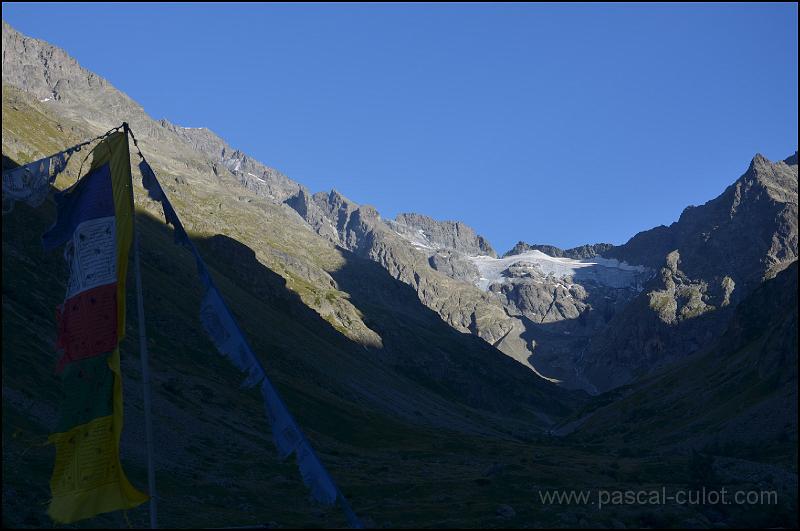 DSC_1236.jpg