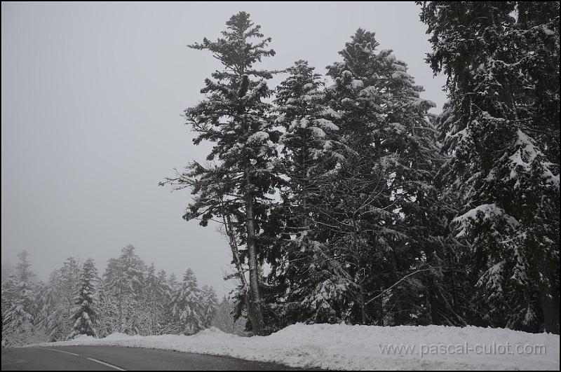 2013-01-13.jpg