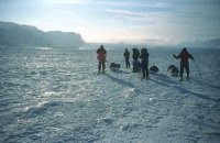 Le froid est toujours tr�s mordant !