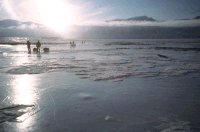 Sur la rive glac�e de l'Austfjorden